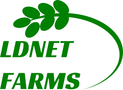 logo LDNet Farms
